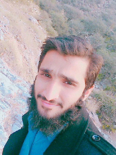 Photo of deemi